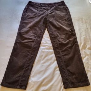 Anthropologie Pilcro The Wanderer Corduroy Pants Dark Brown Size 31